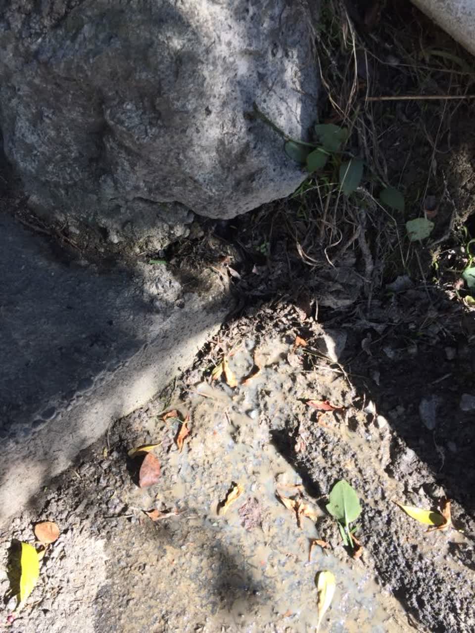 The photograph attached to this wastewater/stormwater report