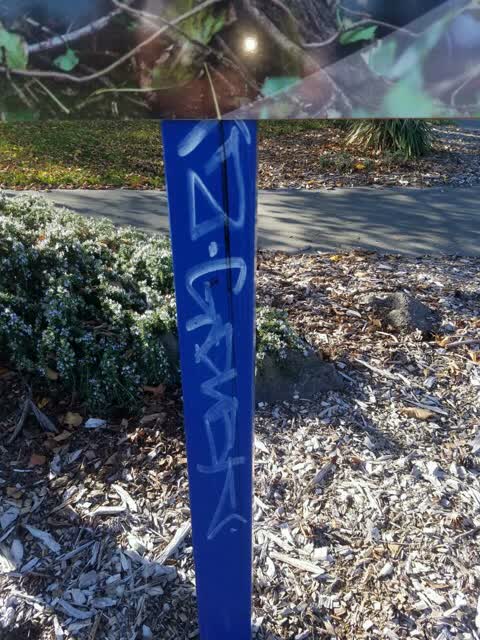 Graffiti, a report photo