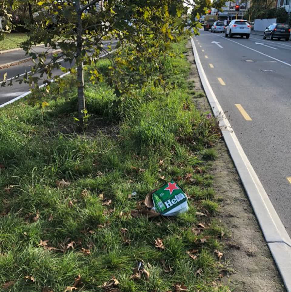 The photograph attached to this parks report