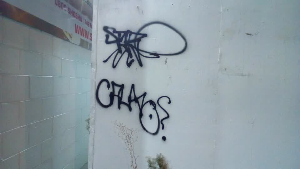 The photograph attached to this graffiti report