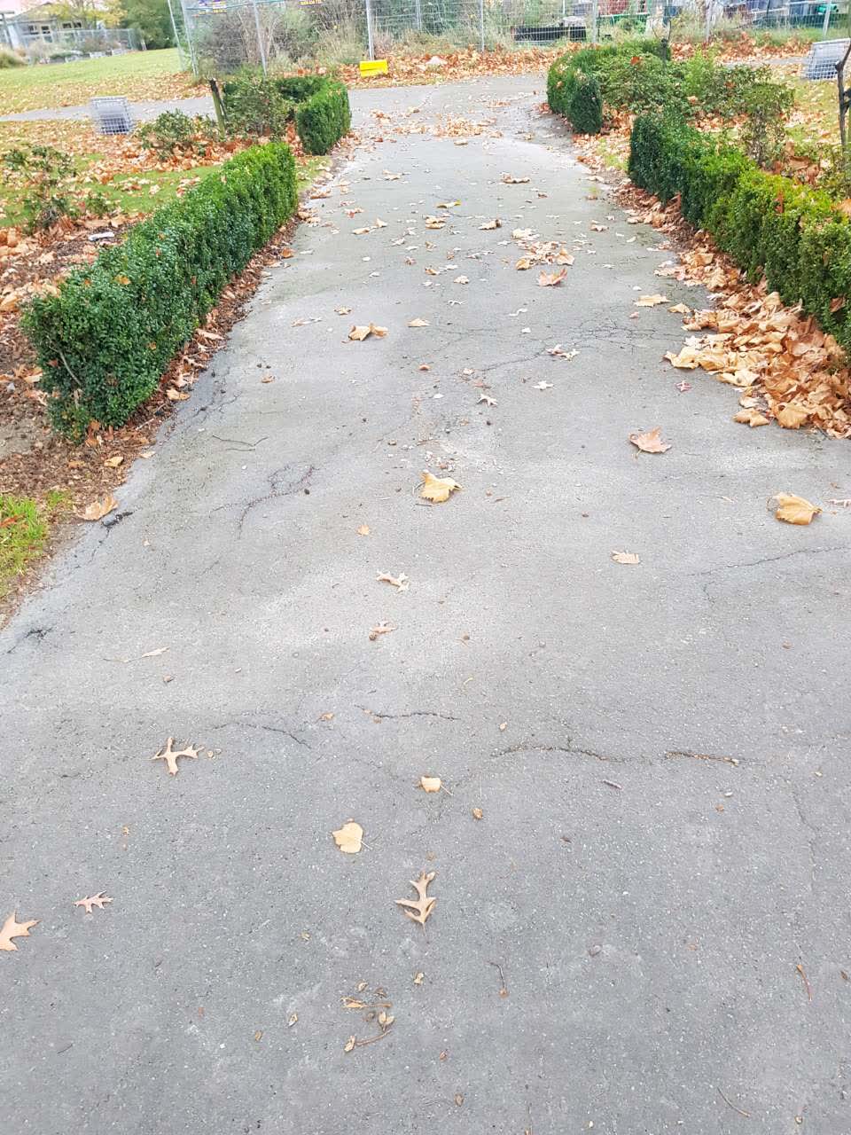 The photograph attached to this parks report