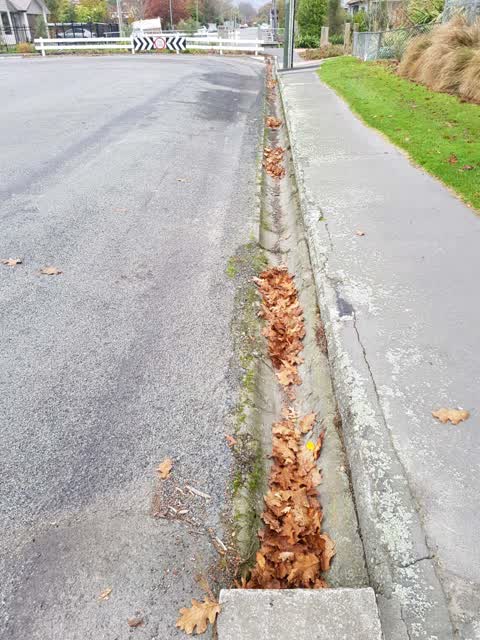 Roading/Streets, a report photo