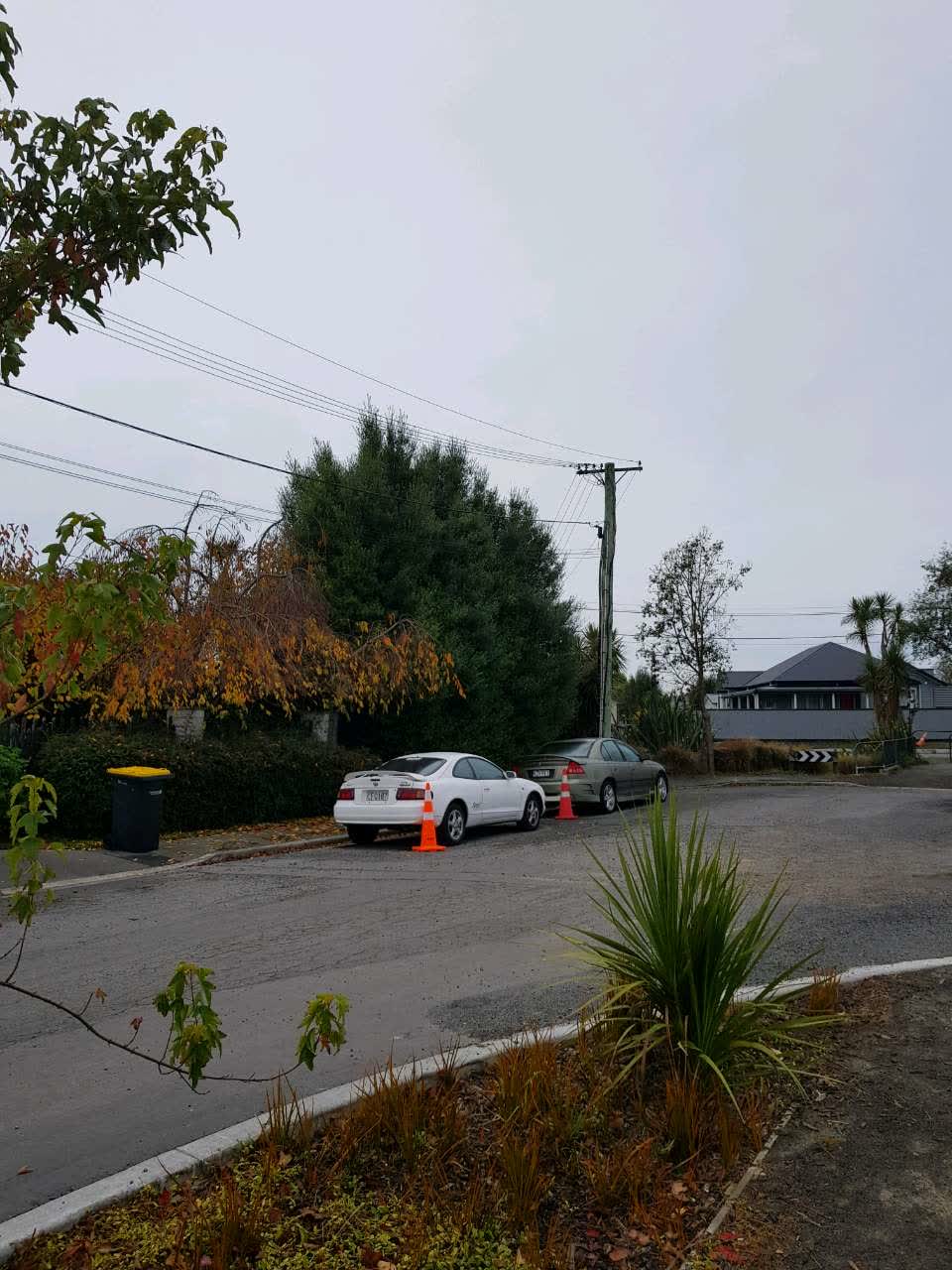 The photograph attached to this parks report