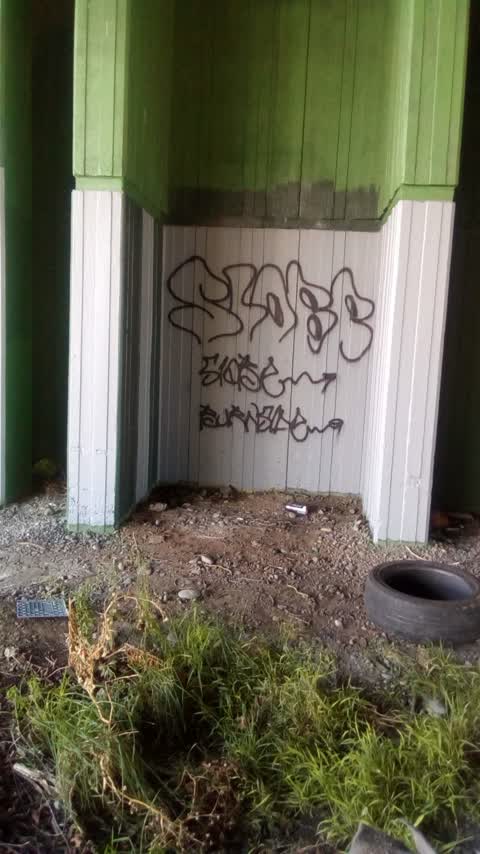 Graffiti, a report photo
