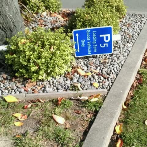 Roading/Streets, a report photo