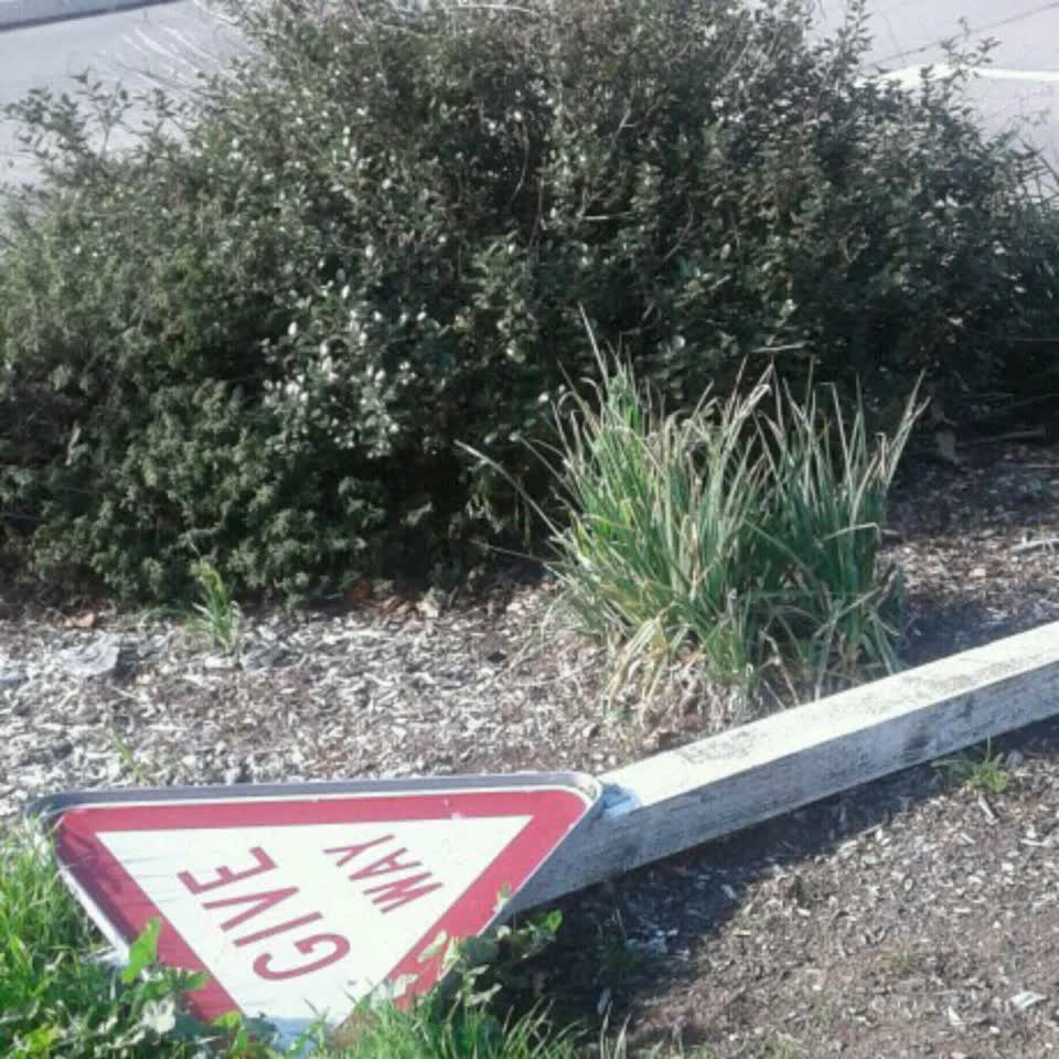 The photograph attached to this roading/streets report