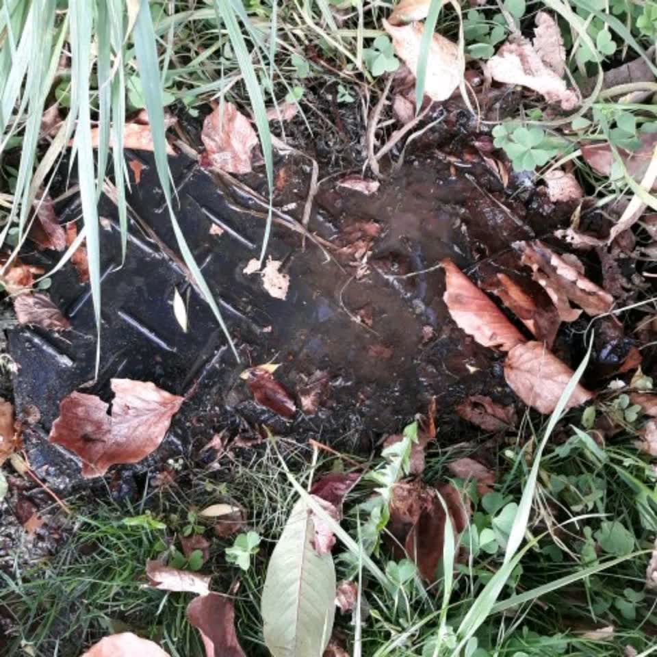 The photograph attached to this water supply report
