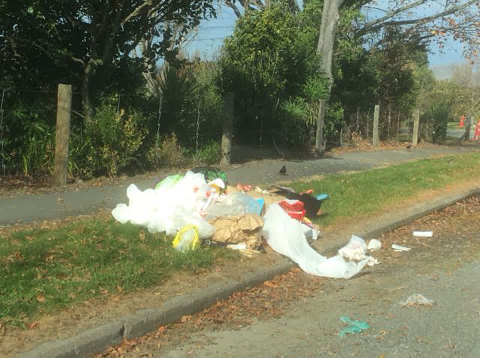 The photograph attached to this rubbish/recycling report