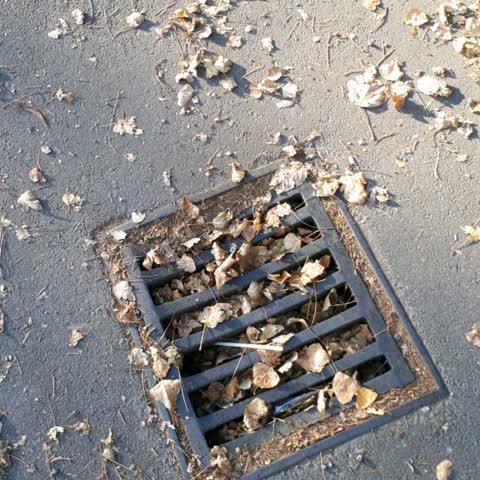 Wastewater/Stormwater, a report photo