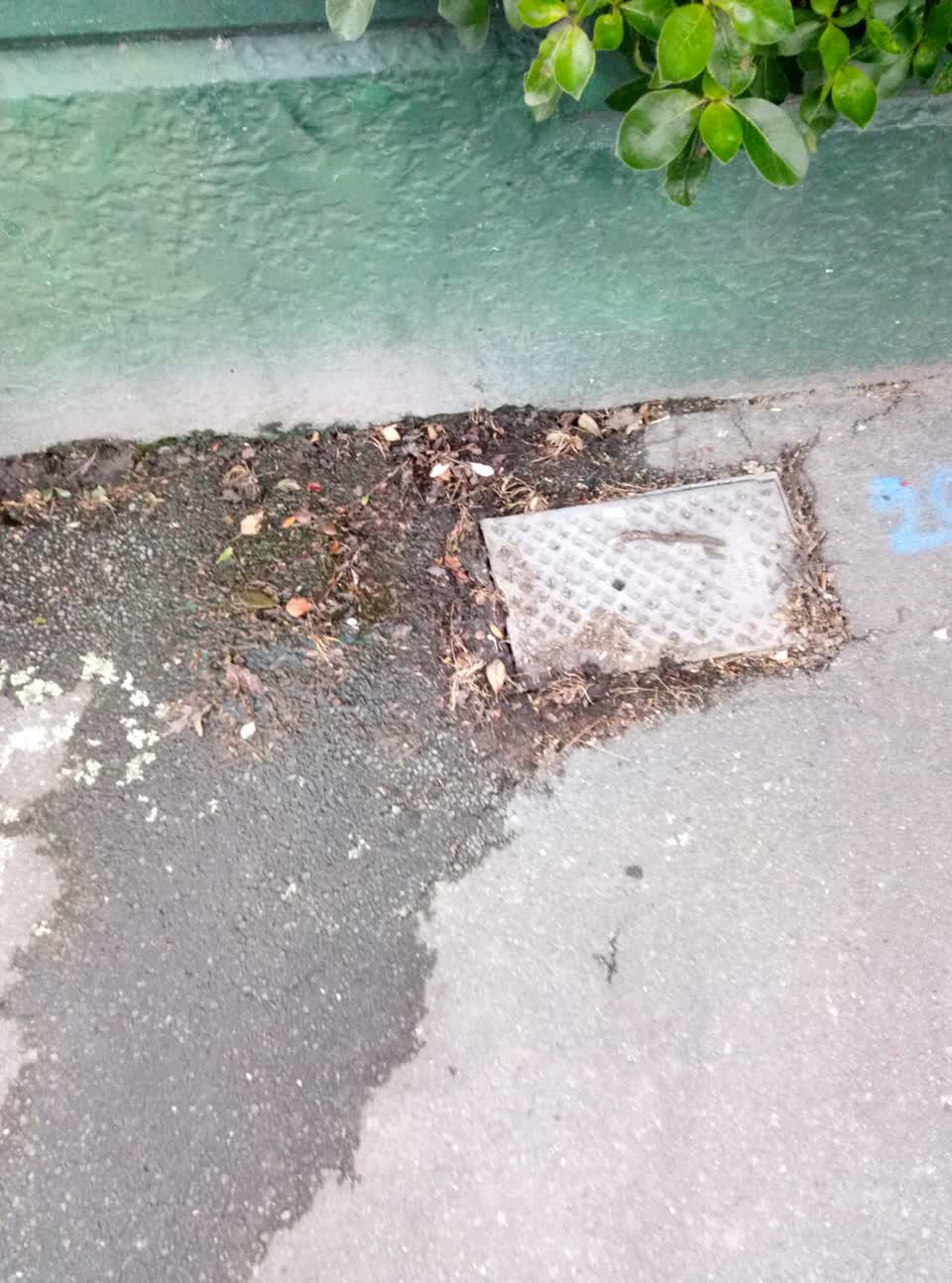 The photograph attached to this water supply report