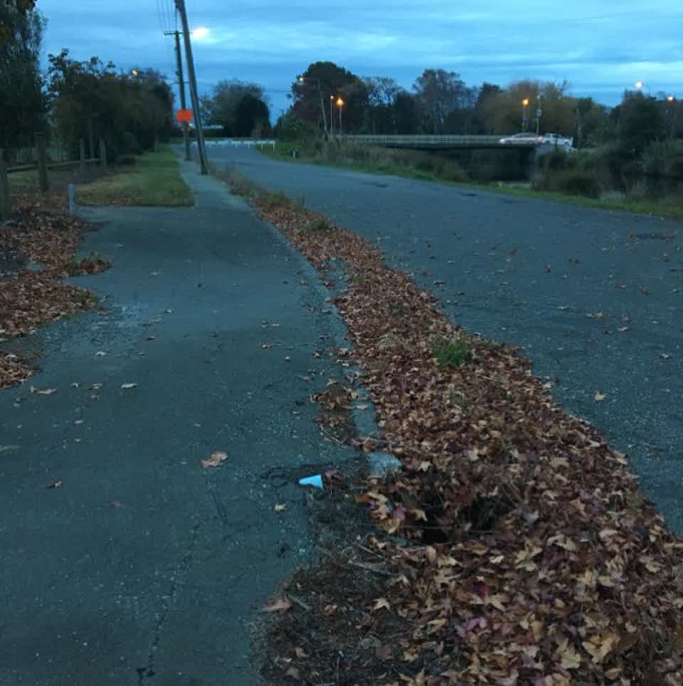 The photograph attached to this roading/streets report