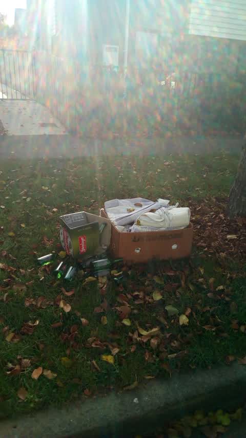 Rubbish/Recycling — a report photo