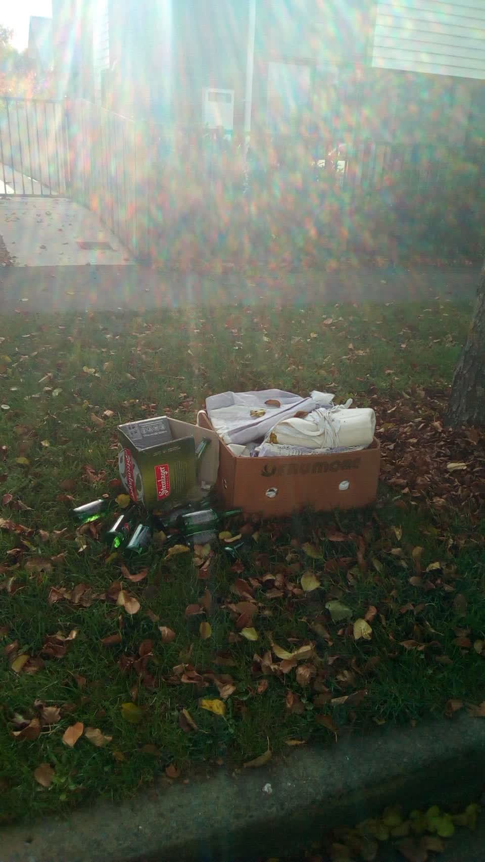The photograph attached to this rubbish/recycling report