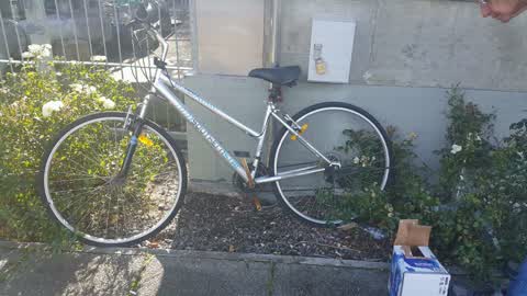 Rubbish/Recycling, a report photo