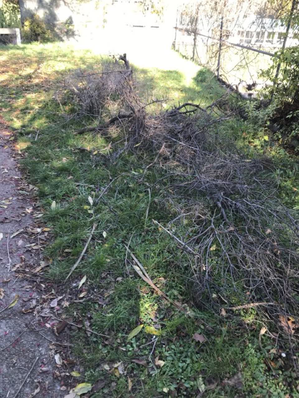 The photograph attached to this parks report