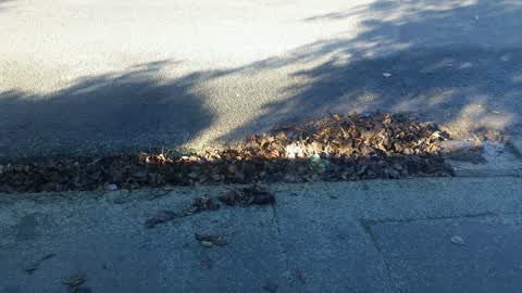 Flooding, a report photo