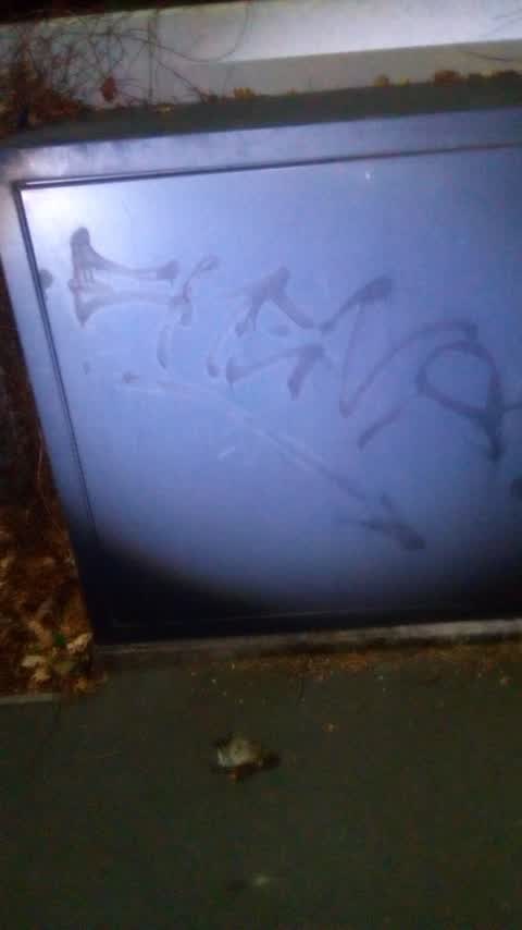 Graffiti, a report photo