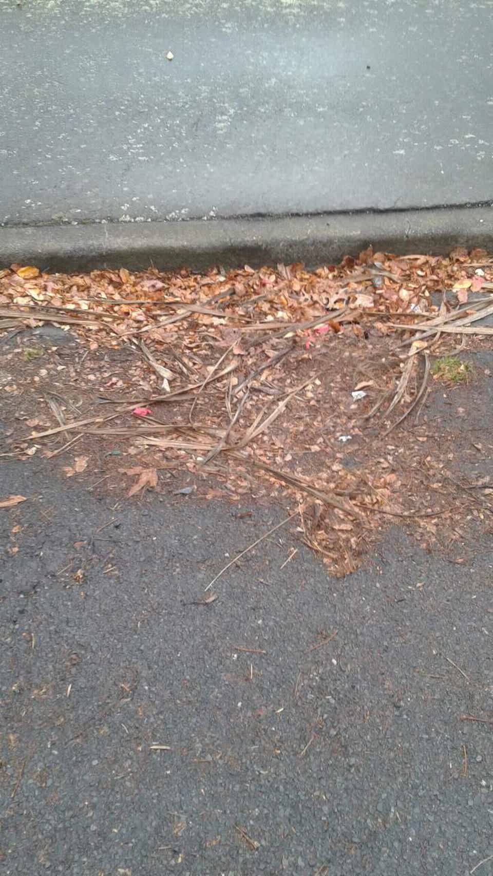 The photograph attached to this flooding report