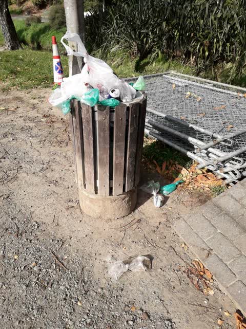 Rubbish/Recycling, a report photo