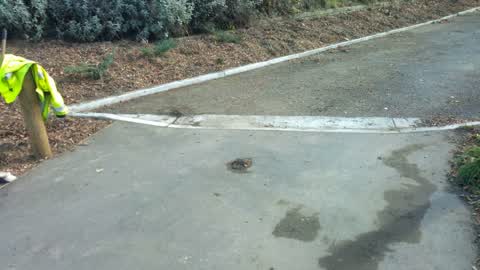 Roading/Streets, a report photo