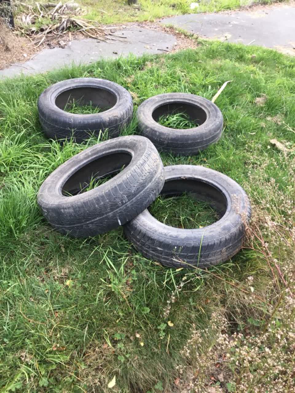 The photograph attached to this rubbish/recycling report
