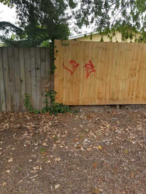 Graffiti, a report photo