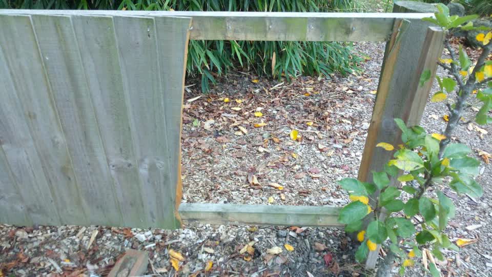 The photograph attached to this parks report