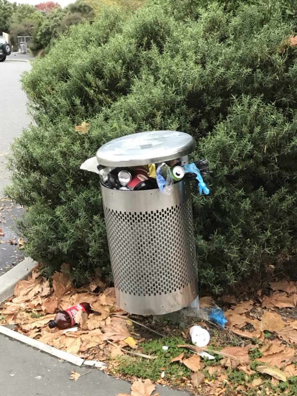 The photograph attached to this rubbish/recycling report