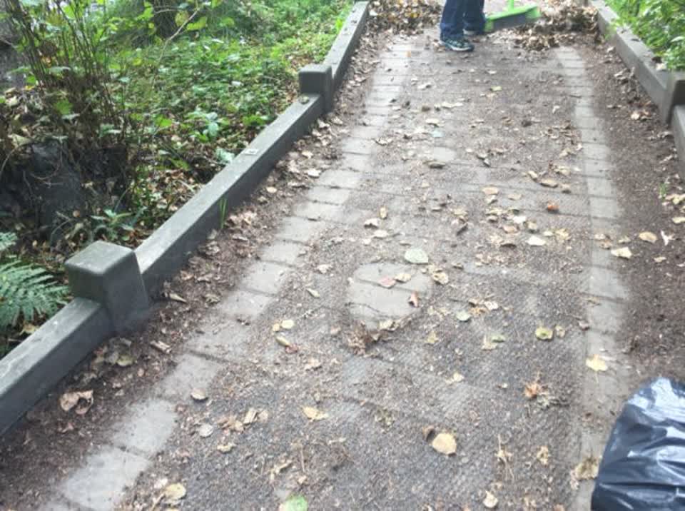 The photograph attached to this parks report