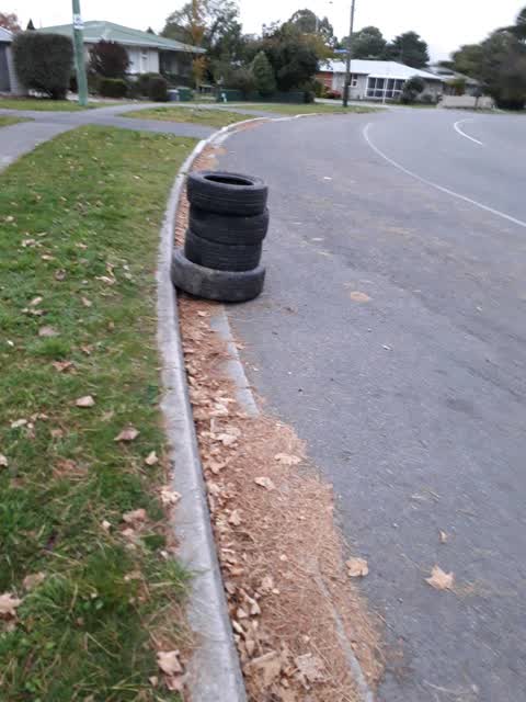 Rubbish/Recycling, a report photo
