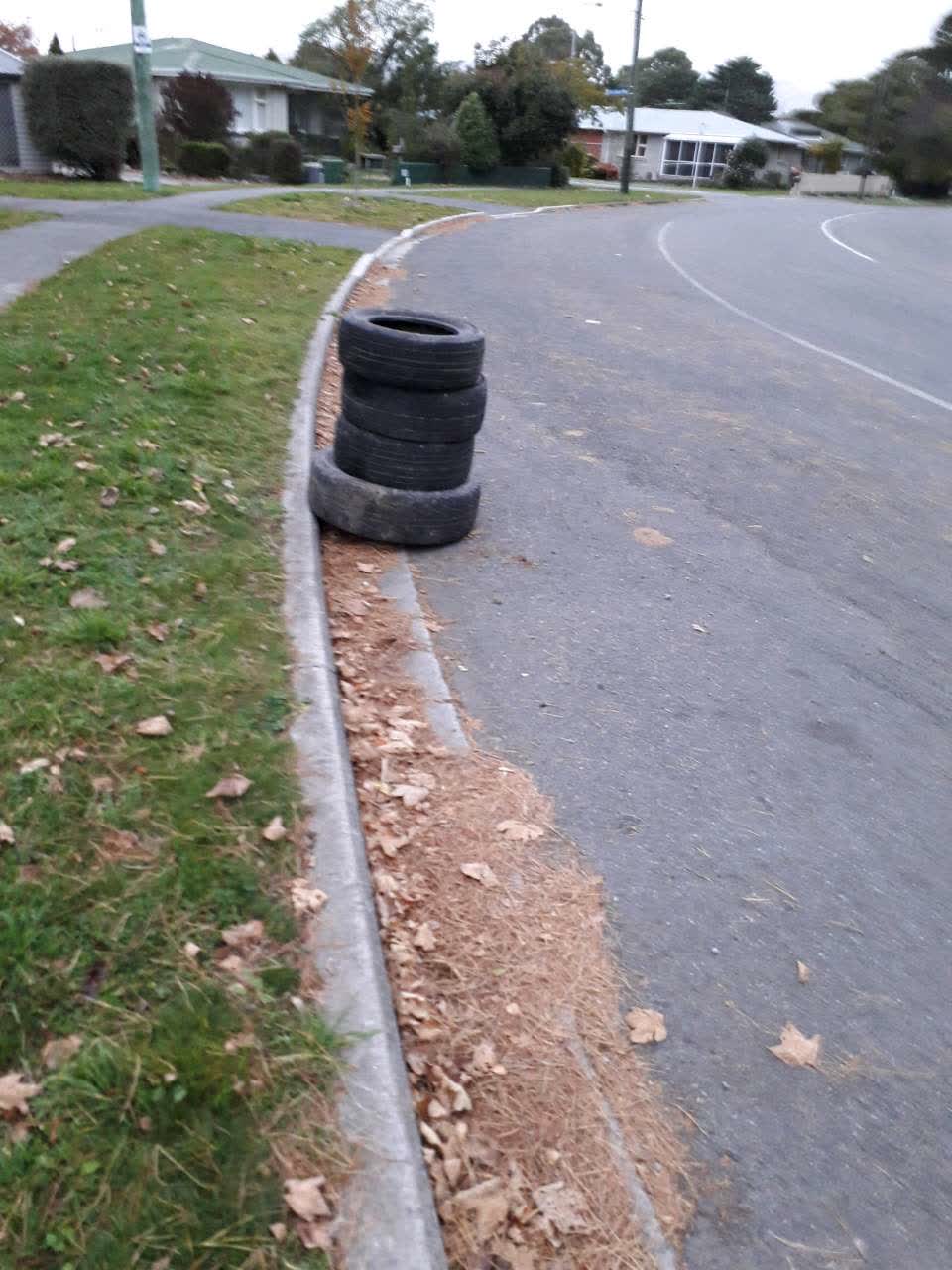 The photograph attached to this rubbish/recycling report