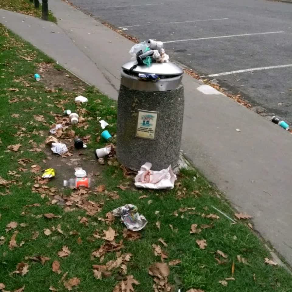 The photograph attached to this rubbish/recycling report