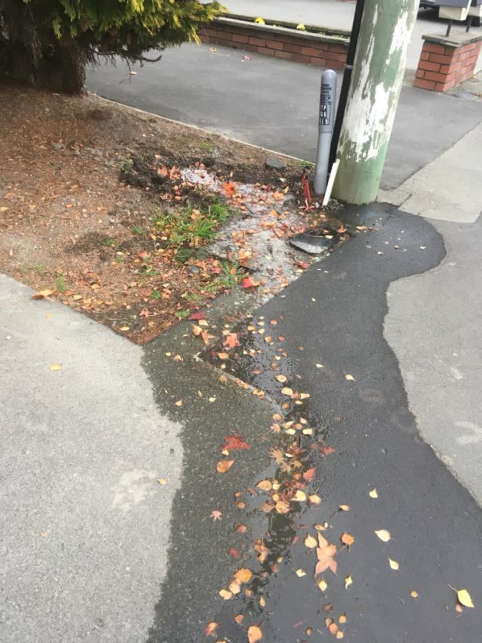 The photograph attached to this water supply report