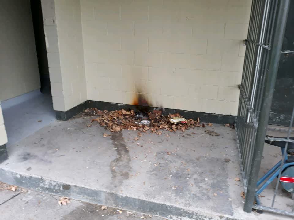 The photograph attached to this parks report