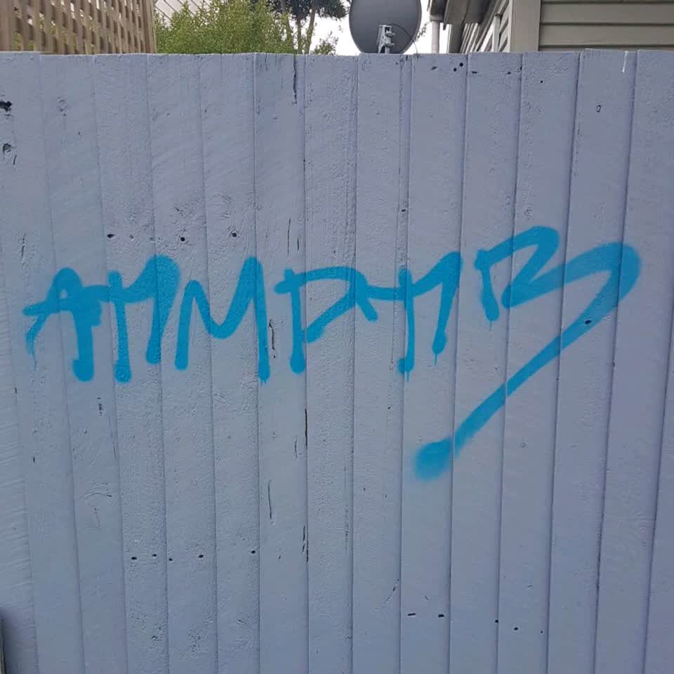 The photograph attached to this graffiti report