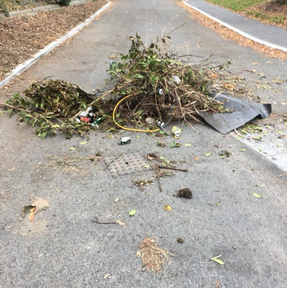 The photograph attached to this rubbish/recycling report