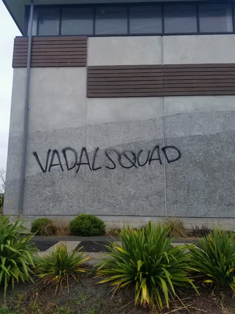 Graffiti, a report photo