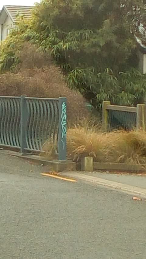 Graffiti, a report photo