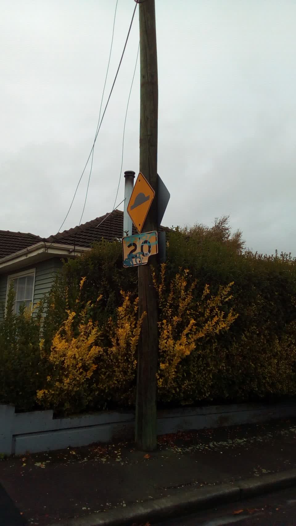 The photograph attached to this roading/streets report