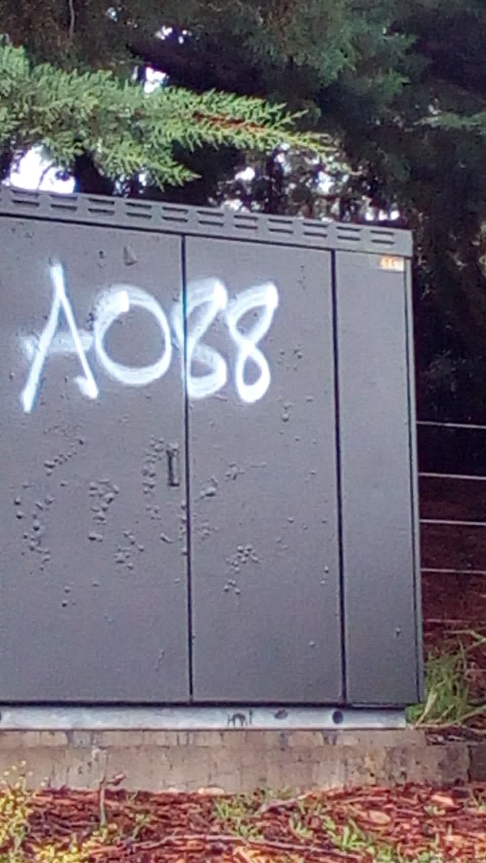 The photograph attached to this graffiti report