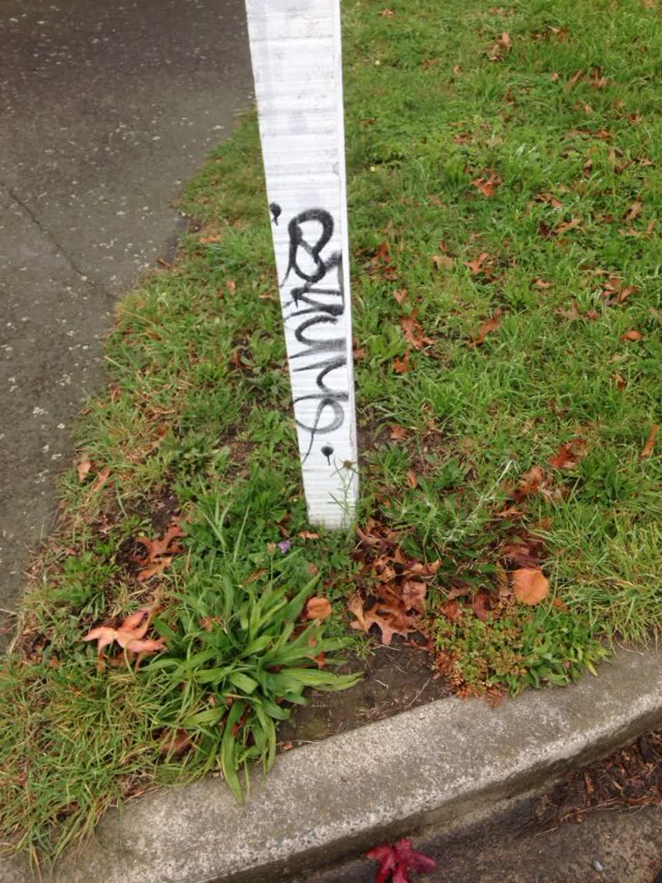 The photograph attached to this graffiti report
