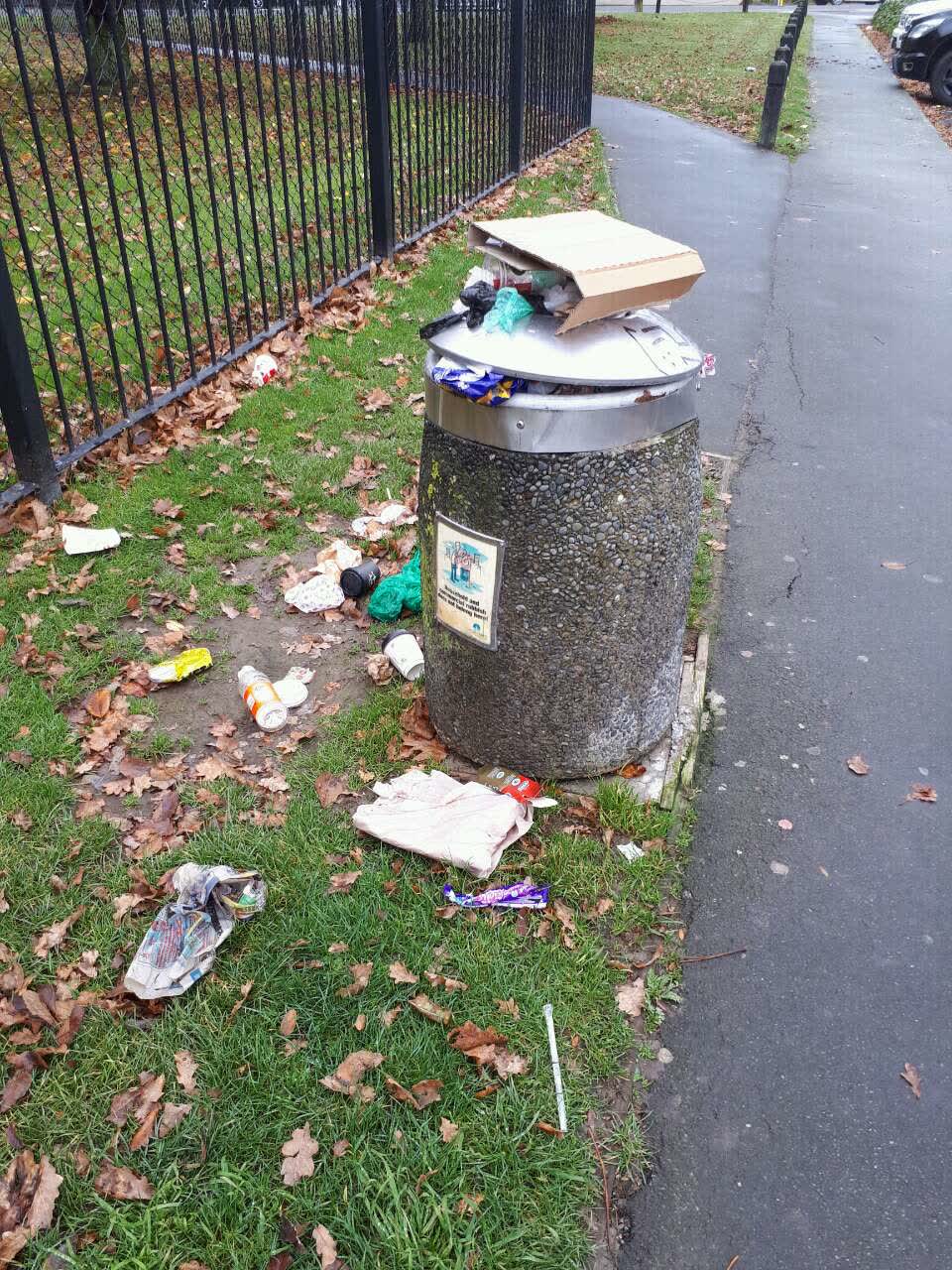 The photograph attached to this rubbish/recycling report