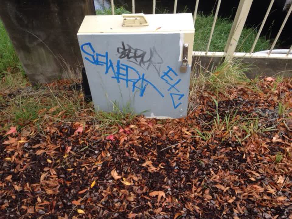 The photograph attached to this graffiti report