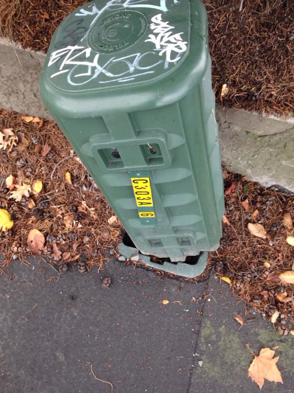 The photograph attached to this graffiti report