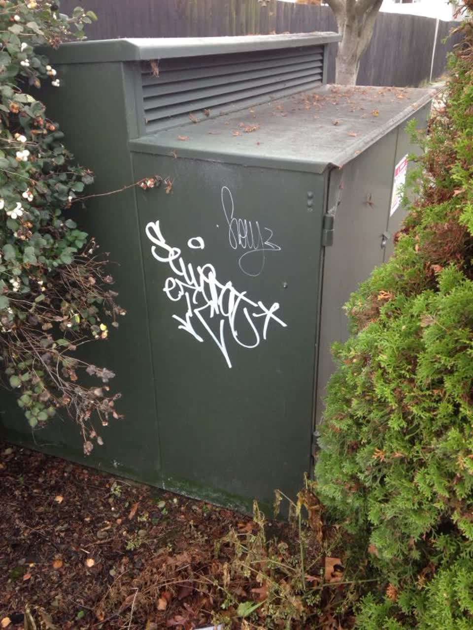 The photograph attached to this graffiti report