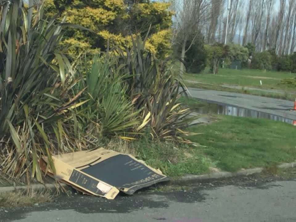 The photograph attached to this rubbish/recycling report