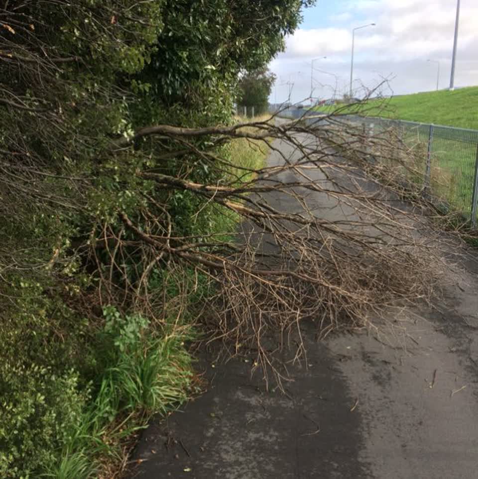 The photograph attached to this roading/streets report