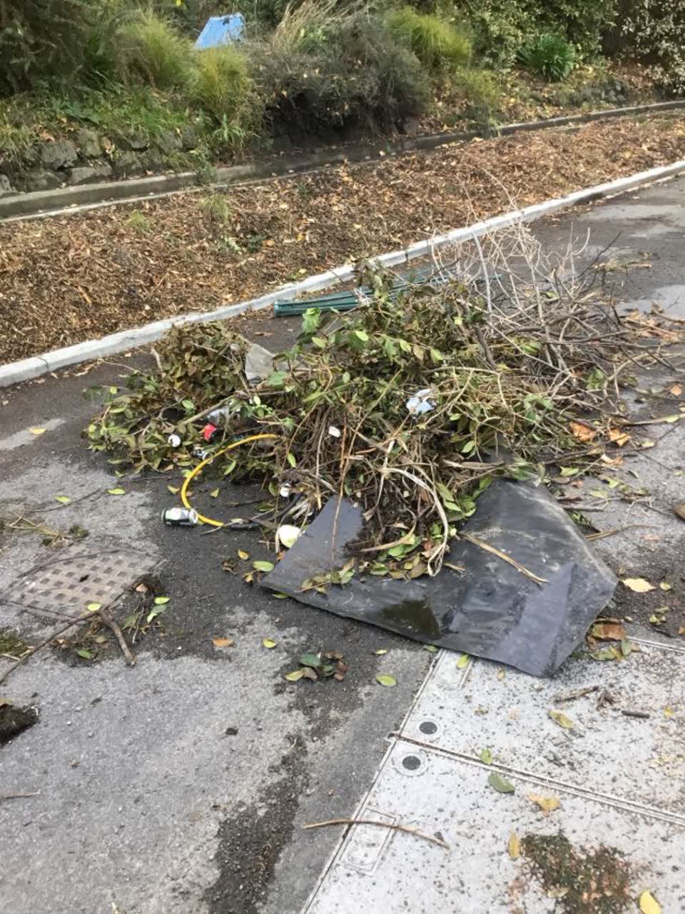 The photograph attached to this rubbish/recycling report