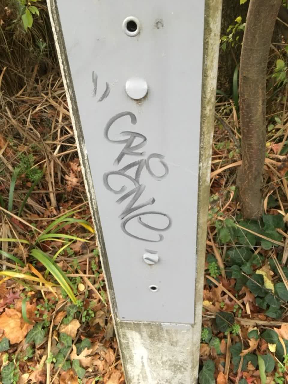 The photograph attached to this graffiti report