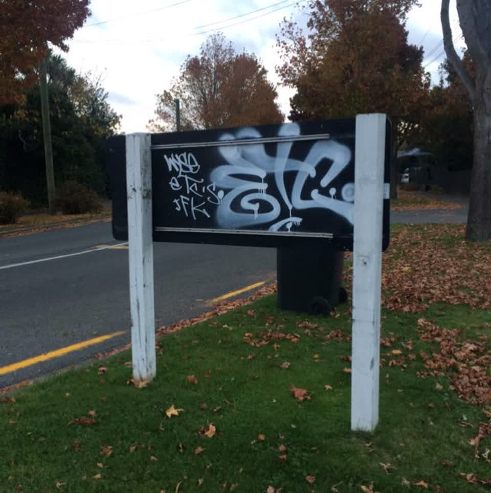 The photograph attached to this graffiti report